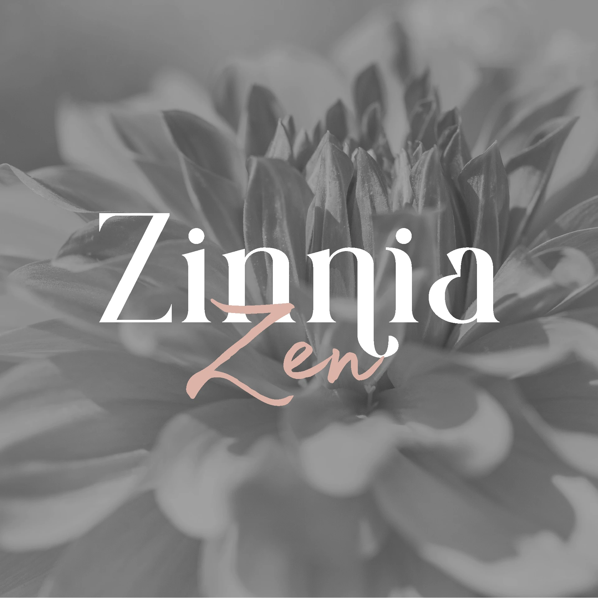 Logo copy 2@6x — Riad Zoabi design portfolio